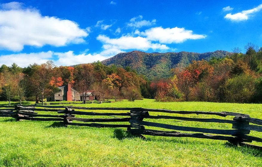 Rural South Carolina property with a farmhouse and open fields